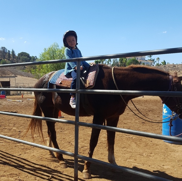 Meet your Posher, Paulina - Picture 3 of 8